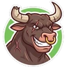 bull