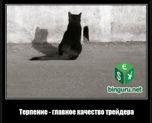 терпение трейдера