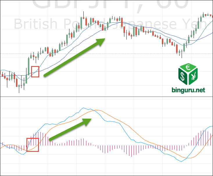 MACD EMA