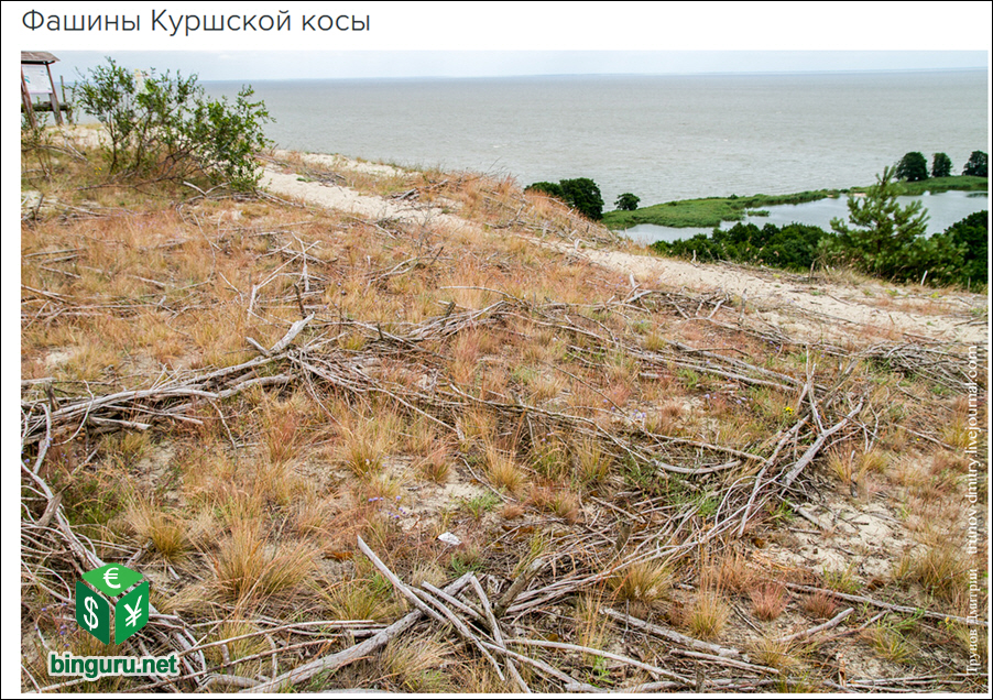 фашины